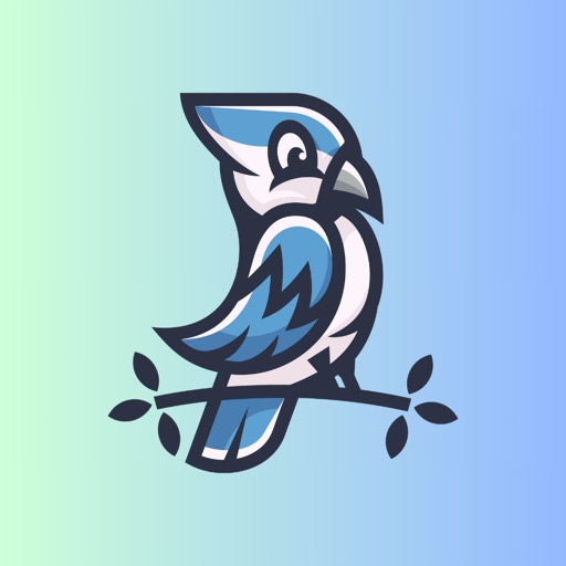 Blue Jays Sounds & Noises Blue Jays Sounds & Noises