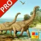 Dinosaurs Cards PRO