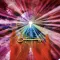 Law of Attraction, Manifest
