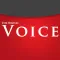 Hinton Voice