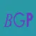 Brandon Gerald Productions LLC