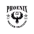 Phoenix Soccer Training Phoenix Soccer Training