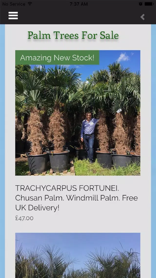 Скриншоты The Palm Tree Company