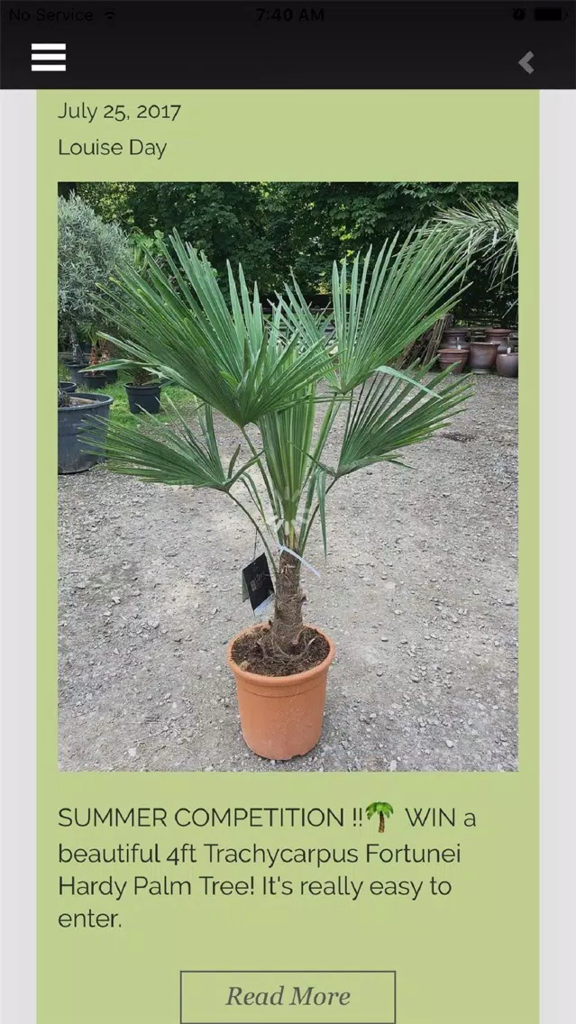 Скриншоты The Palm Tree Company