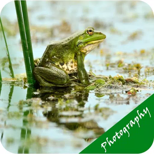 Photography For Beginners - Tips & Tricks Photography For Beginners - Tips & Tricks