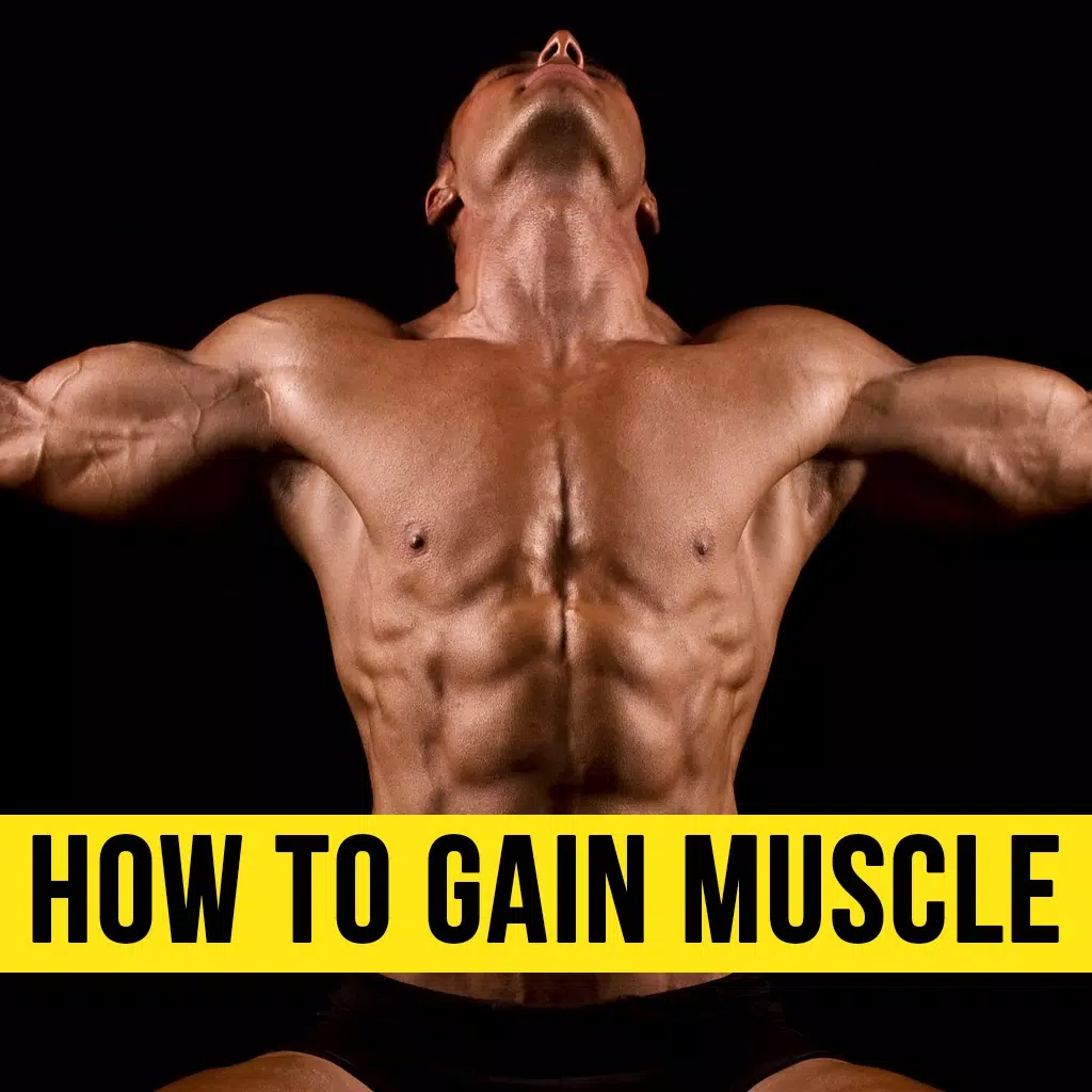 How to Gain Muscle From Basics - Learn the Tricks How to Gain Muscle From Basics - Learn the Tricks