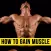 How to Gain Muscle From Basics - Learn the Tricks