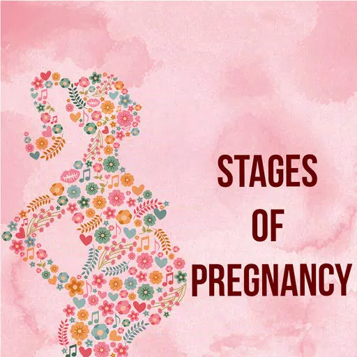 Stages Of Pregnancy - Week by Week Stages Of Pregnancy - Week by Week