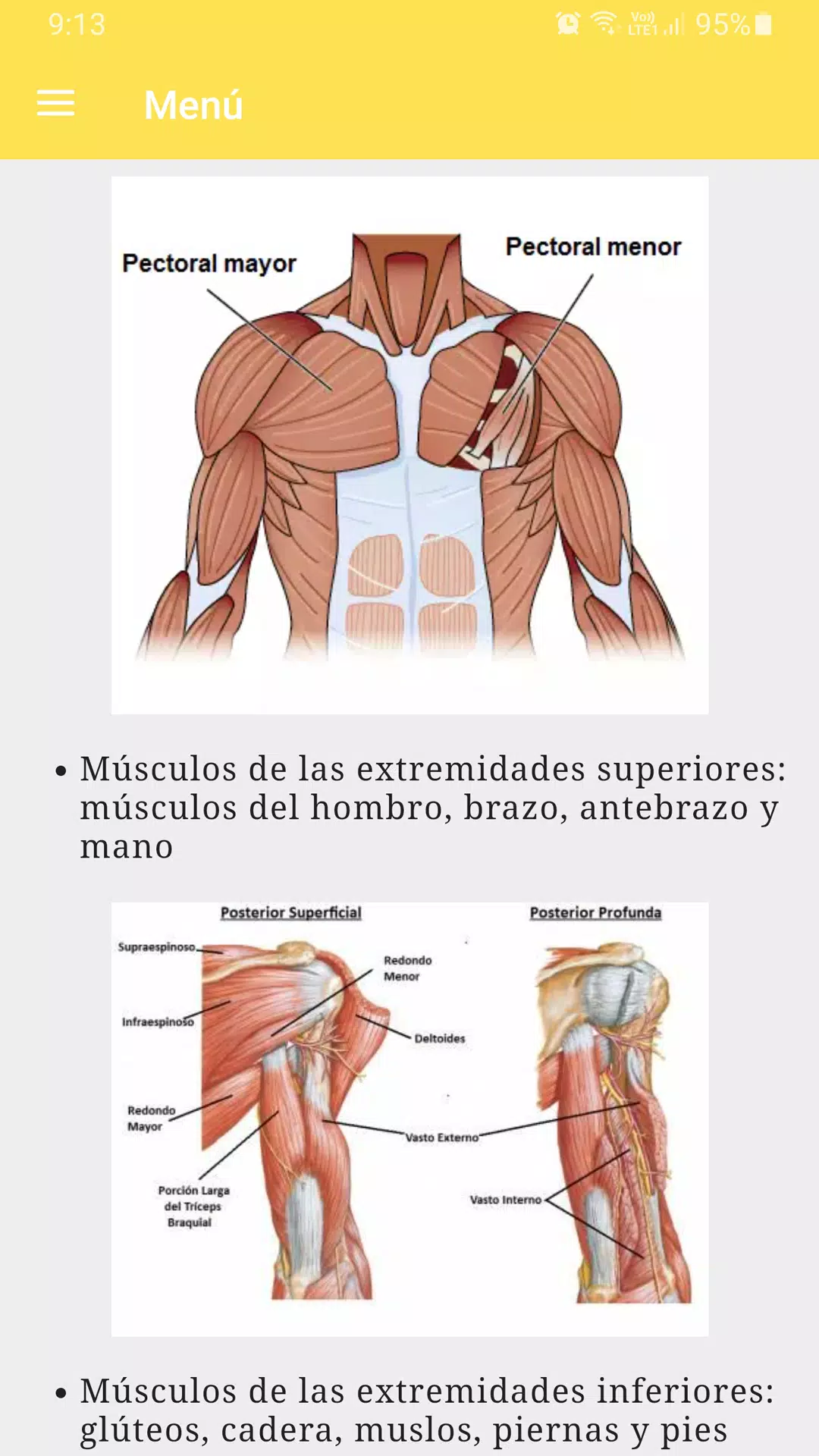 Curso de anatomía humana Screenshots