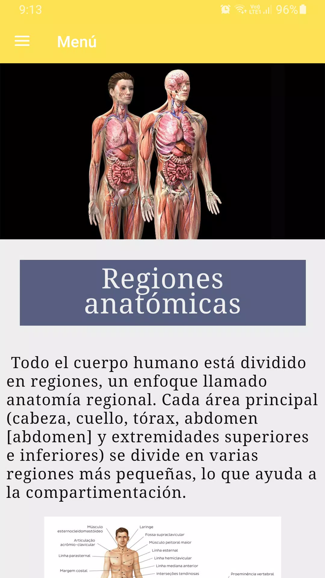 Curso de anatomía humana Screenshots