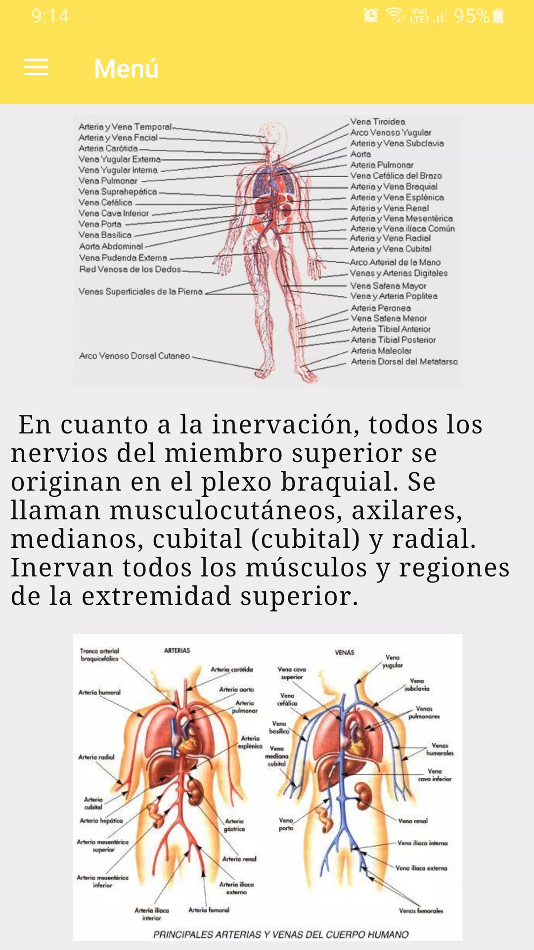 Curso de anatomía humana Screenshots