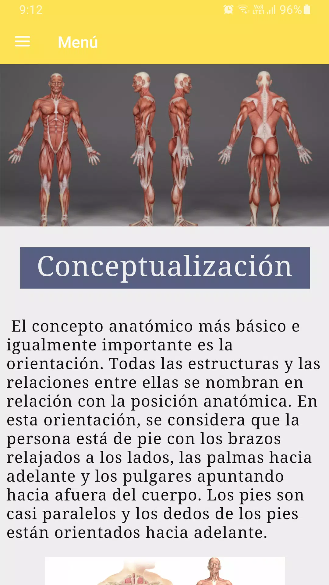 Curso de anatomía humana Screenshots