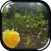 In The Sun - APPUM ®