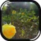 In The Sun - APPUM ®