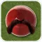 Cricket Booth