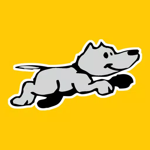 Downtown Doggy Daycare Downtown Doggy Daycare