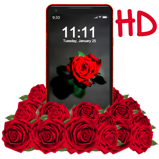 Shine Red Rose APUS Live Wallp