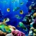 Aquarium Live Wallpapers