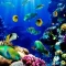 Aquarium Live Wallpapers