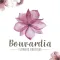 Bouvardia