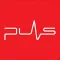 RTV Puls