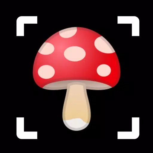 Mushroom identifier - photo ID Mushroom identifier - photo ID