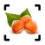 Nut Identifier - Seed ID