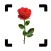 Flower identifier - Photo ID
