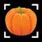 Vegetable identifier - Food ID