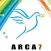 Arca 7 Oficial