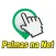 Guia Digital Palmas na Net