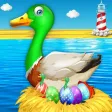 Duck Farm Breeding & Farming