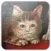 Medieval Cats Sticker Pack