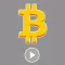 Bitcoin Frenzy Stickers