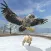 Arctic Eagle