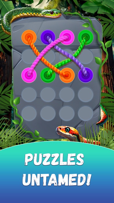 Twisted Knotts Tangle Puzzle应用截图