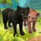 Panther Family Sim : Jungle
