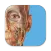 3D Human Anatomy Atlas 2025