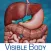Digestive Anatomy Atlas: Essential Reference for Students and Healthcare Professionals
