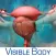 Reproductive and Urinary Anatomy Atlas: Essential Reference for Students and Healthcare Professionals