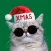 Trendy Stickers for Christmas