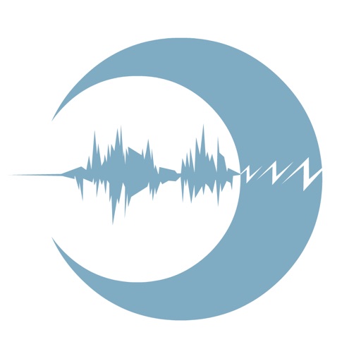 The Snoring Analyzer The Snoring Analyzer