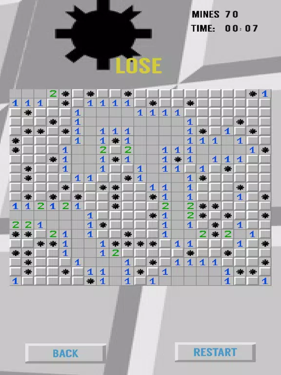 Minesweeper - classic arcade game of all times iPad Screenshots