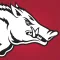 Arkansas Razorbacks