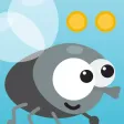 Fly's jorney