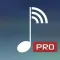 MyAudioStream HD Pro UPnP audio player and streamer for iPad