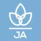 Modern Essentials Japanese