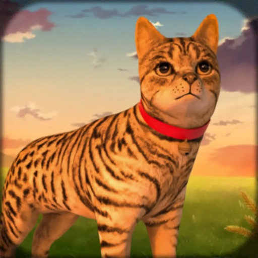 Cat Simulator Life Kitten Game Cat Simulator Life Kitten Game