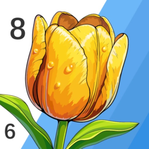 Vivid Color Paint By Number Vivid Color Paint By Number