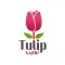 Tulip توليب